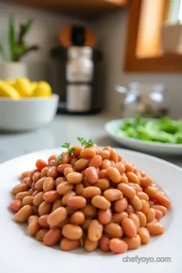 Tender Great Northern Beans: A Comforting Delight steps